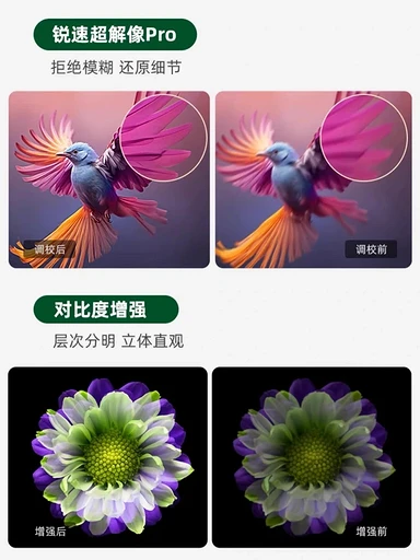 Toshiba представила MiniLED-телевизоры Regza — от 65 до 100 дюймов