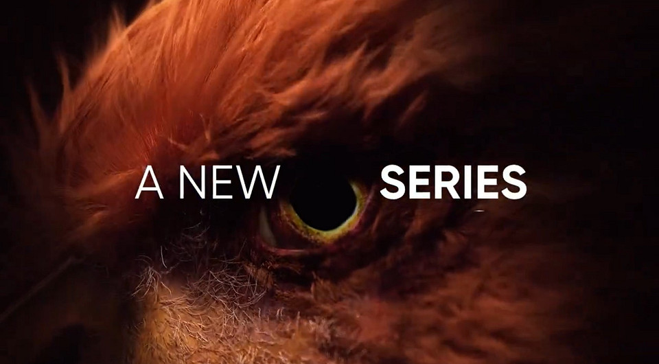 Похоже, realme готовится к запуску новой серии смартфонов