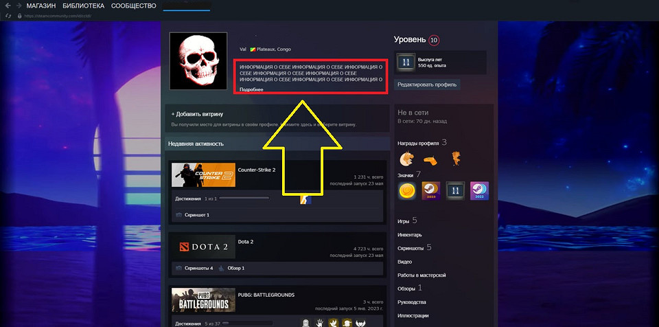 Как сделать красивый профиль Стим: советы по оформлению и настройке