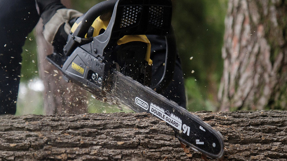 Глохнет бензопила, в чем причина  разбираемся, почему инструмент может работать с перебоями