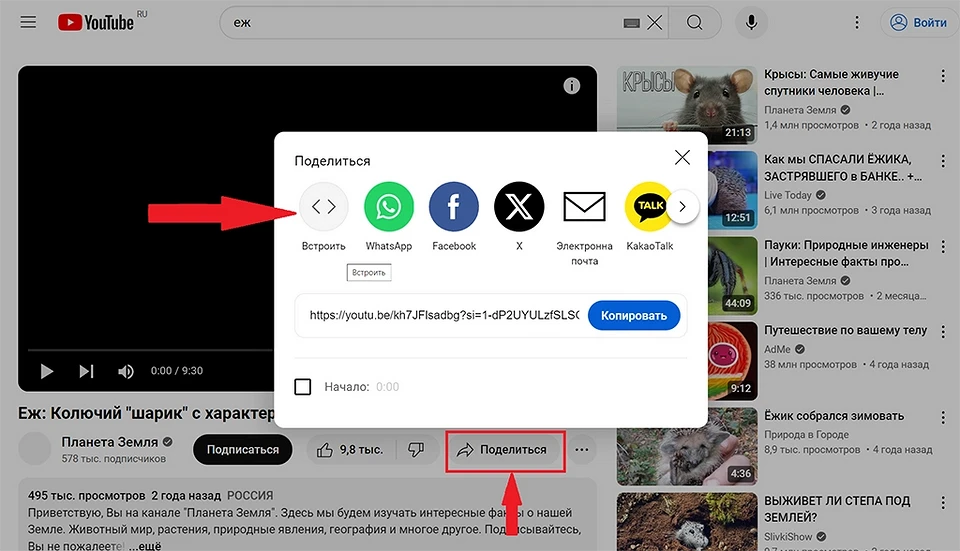 Как вставить видео в презентацию PowerPoint Как вставить видео в презентацию PowerPoint