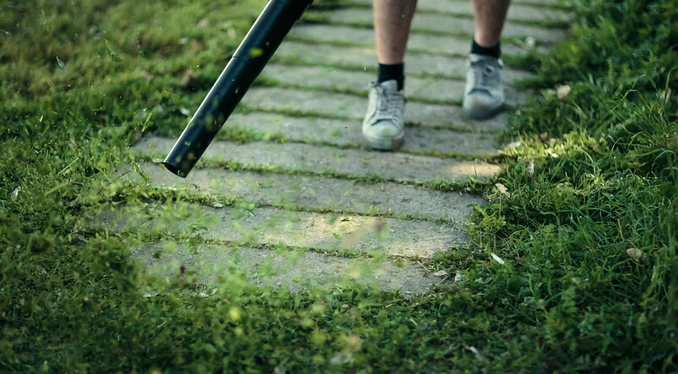 Как выбрать воздуходувку для сада: практичные советы для владельцев дач и домов