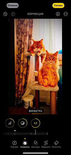 Топ-4 способа отредактировать фото на iPhone без стороннего ПО