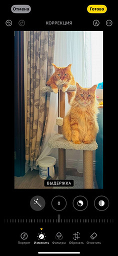 Топ-4 способа отредактировать фото на iPhone без стороннего ПО