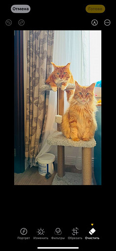 Топ-4 способа отредактировать фото на iPhone без стороннего ПО