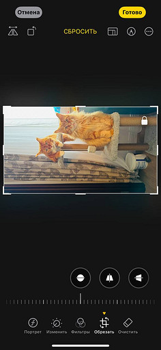 Топ-4 способа отредактировать фото на iPhone без стороннего ПО