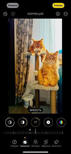 Топ-4 способа отредактировать фото на iPhone без стороннего ПО