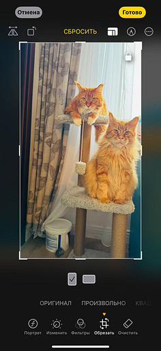 Топ-4 способа отредактировать фото на iPhone без стороннего ПО