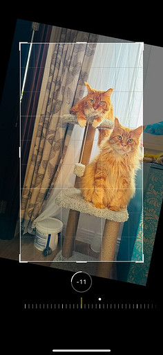 Топ-4 способа отредактировать фото на iPhone без стороннего ПО