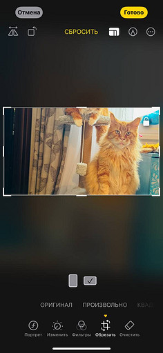 Топ-4 способа отредактировать фото на iPhone без стороннего ПО