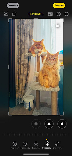 Топ-4 способа отредактировать фото на iPhone без стороннего ПО