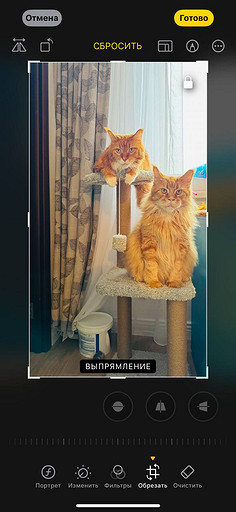 Топ-4 способа отредактировать фото на iPhone без стороннего ПО