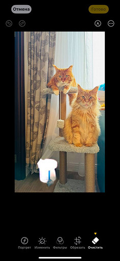 Топ-4 способа отредактировать фото на iPhone без стороннего ПО