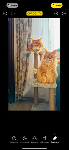 Топ-4 способа отредактировать фото на iPhone без стороннего ПО