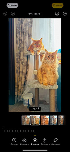 Топ-4 способа отредактировать фото на iPhone без стороннего ПО