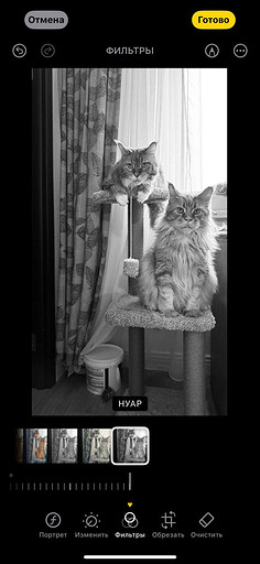 Топ-4 способа отредактировать фото на iPhone без стороннего ПО