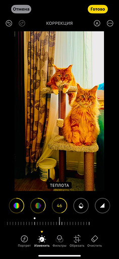 Топ-4 способа отредактировать фото на iPhone без стороннего ПО