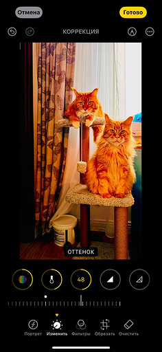 Топ-4 способа отредактировать фото на iPhone без стороннего ПО