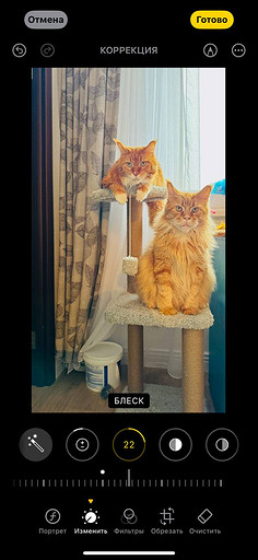 Топ-4 способа отредактировать фото на iPhone без стороннего ПО