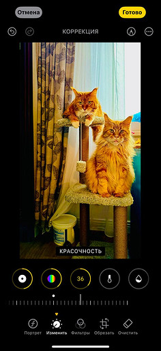 Топ-4 способа отредактировать фото на iPhone без стороннего ПО