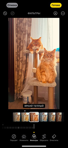 Топ-4 способа отредактировать фото на iPhone без стороннего ПО