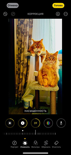 Топ-4 способа отредактировать фото на iPhone без стороннего ПО