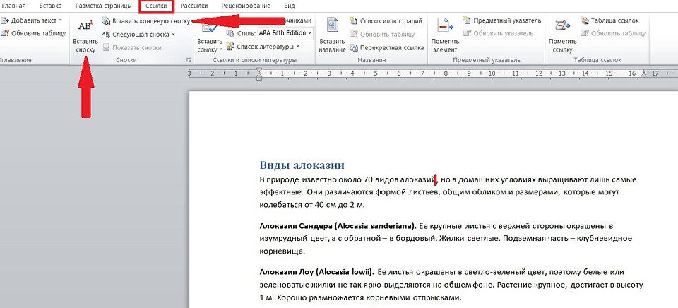 Как сделать или убрать сноску в Ворде