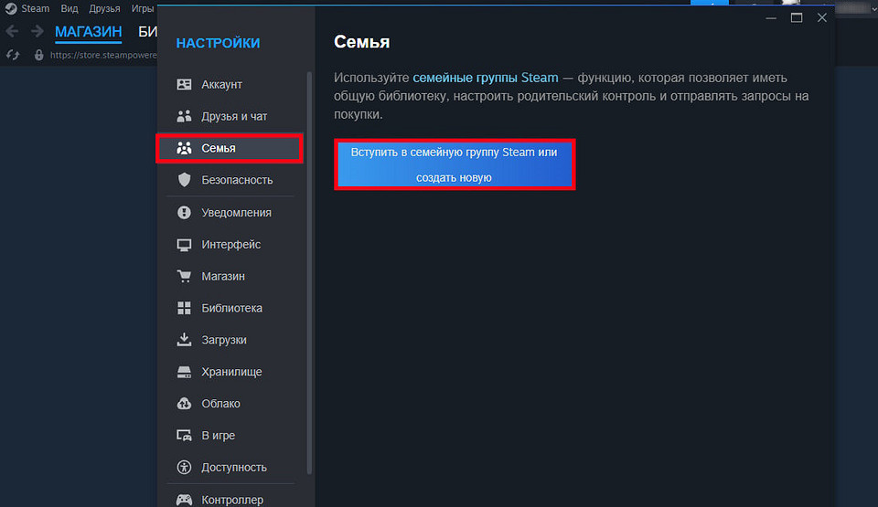 Как создать семью в Steam: делимся играми со своими близкими Как создать семью в Steam: делимся играми со своими близкими