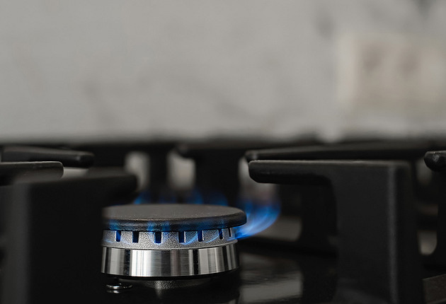 Какая плита лучше: газовая или электрическая