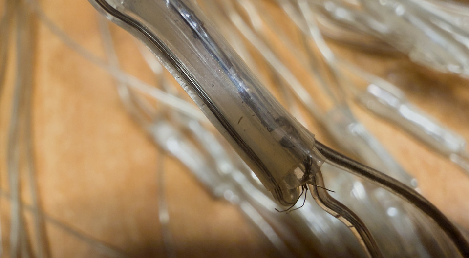 В этом светодиоде есть обрыв — нужно вскрыть изоляцию и пропаять контакт