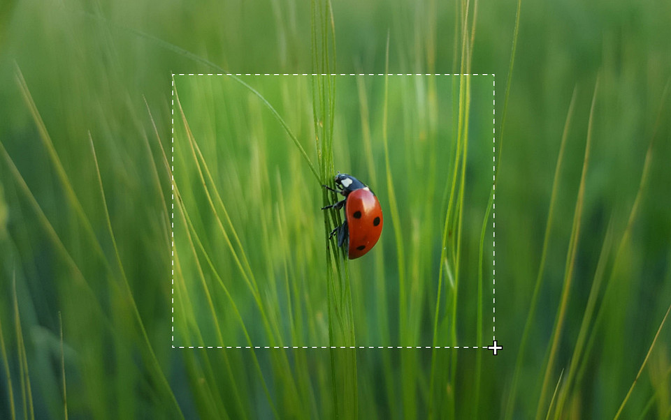 Как сделать скриншот на Виндовс 11: несколько простых способов