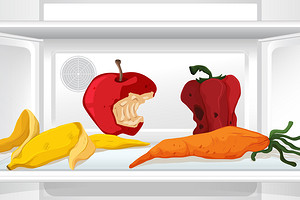 Почему не включается морозильная камера