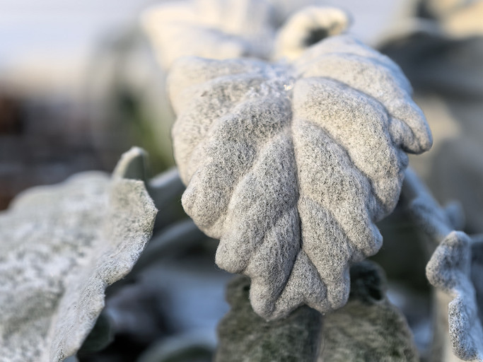 Суперзум HUAWEI Pura 80 Ultra: чем эта фишка уникальна даже среди флагманов