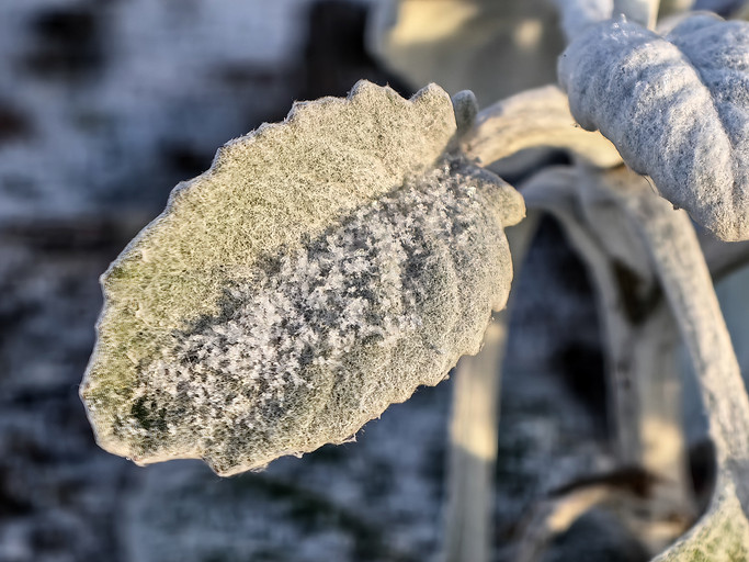 Суперзум HUAWEI Pura 80 Ultra: чем эта фишка уникальна даже среди флагманов