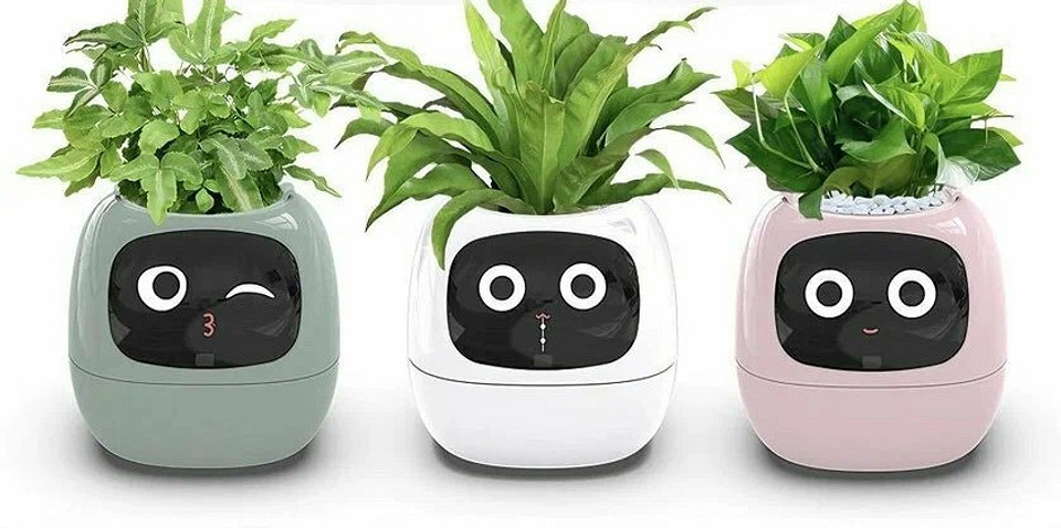 7 необычных подарков, которые могут удивить