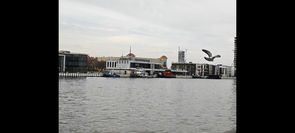 Обзор смартфона HONOR Magic 7: самое главное за меньший бюджет