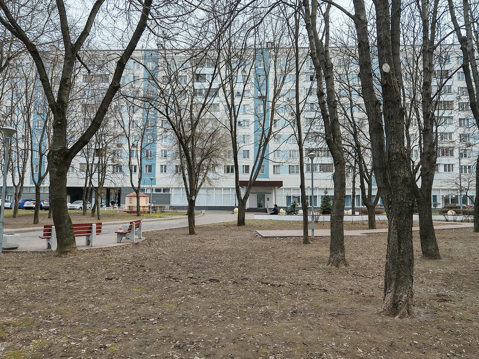 Обзор смартфона HONOR Magic 7: самое главное за меньший бюджет