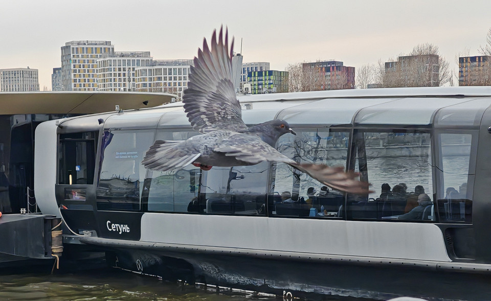 Обзор смартфона HONOR Magic 7: самое главное за меньший бюджет