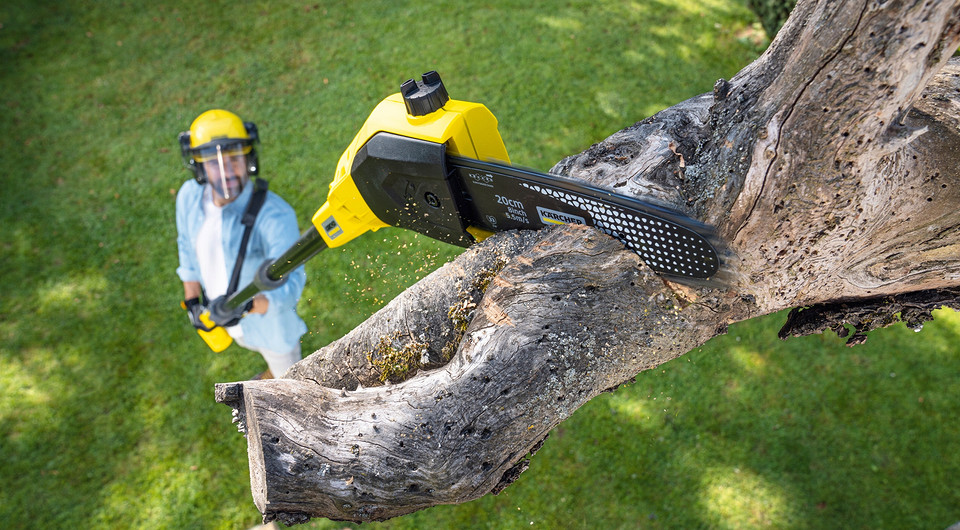 Чем высоторез отличается от кустореза?