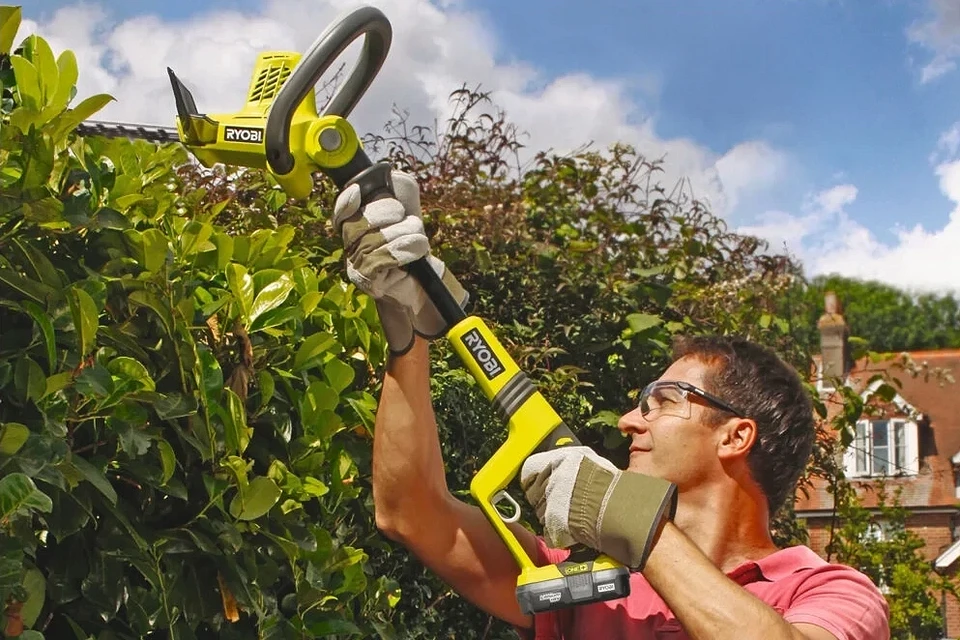 Чем высоторез отличается от кустореза? Чем высоторез отличается от кустореза?