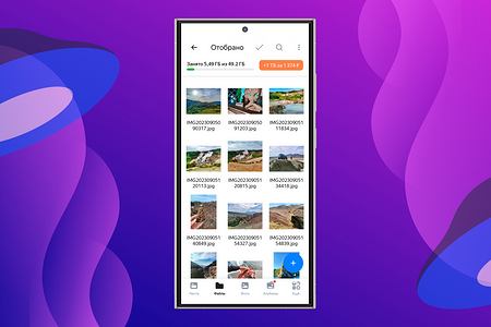 Терабайты в облаке: как фотографу хранить, защищать и передавать снимки