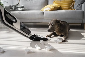 Пылесос стал плохо всасывать: в чем может быть причина