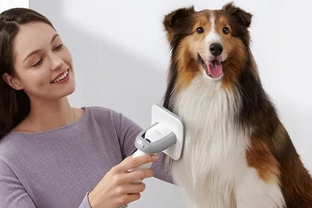 3 устройства, которые помогут избавить дом от шерсти домашних питомцев