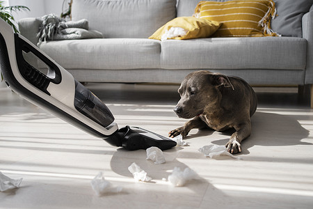 Пылесос стал плохо всасывать: в чем может быть причина