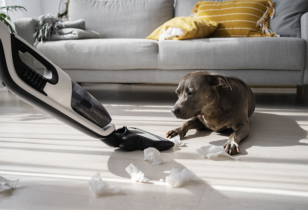 Пылесос стал плохо всасывать: в чем может быть причина