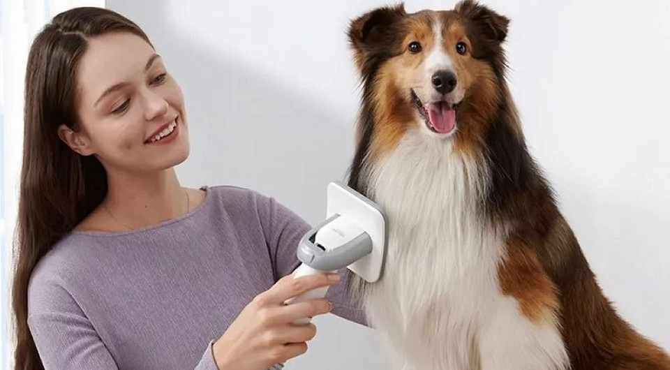 3 устройства, которые помогут избавить дом от шерсти домашних питомцев