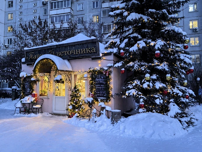 Обзор смартфона HUAWEI Mate X7: надежная «раскладушка» с флагманскими камерами