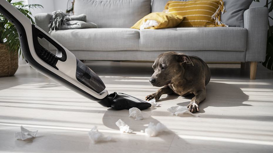 Пылесос стал плохо всасывать: в чем может быть причина