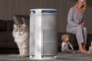 Обзор Neatsvor Air 30⁠, воздухоочистителя для кошек и их хозяев