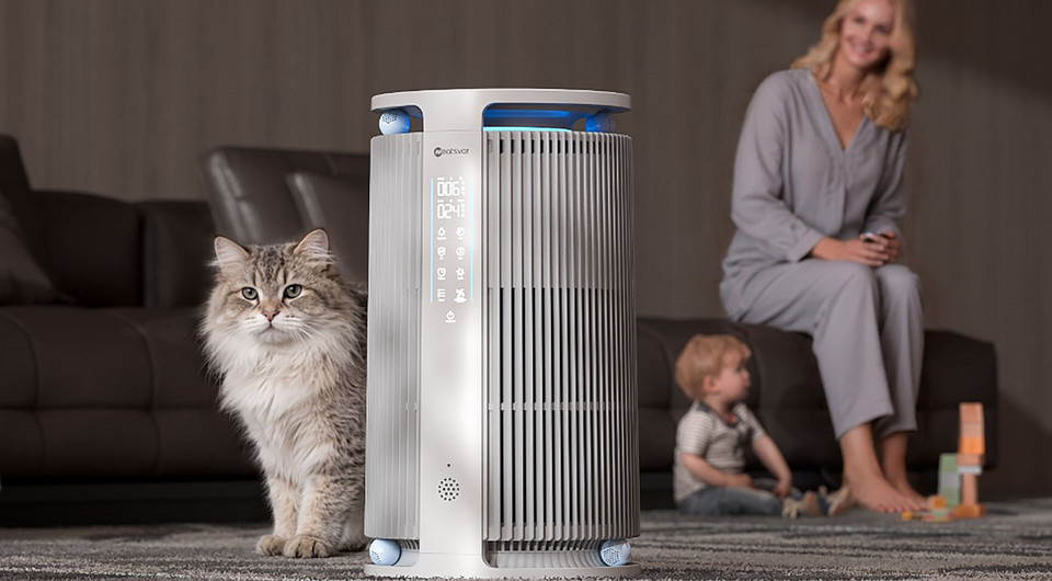 Обзор Neatsvor Air 30⁠, воздухоочистителя для кошек и их хозяев